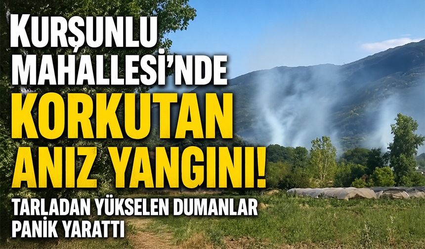Bursa İnegöl'de Kurşunlu Mahallesi'nde korkutan anız yangını!