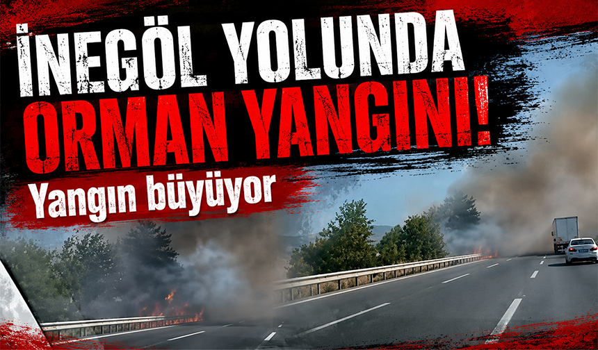 İnegöl yolunda orman yangını! Yangın büyüyor
