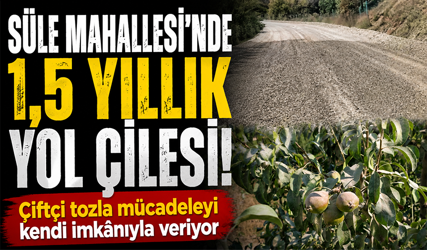 İnegöl Süle Mahallesi'nde 1,5 yıllık yol çilesi! Çiftçi tozla mücadeleyi kendi imkânıyla veriyor