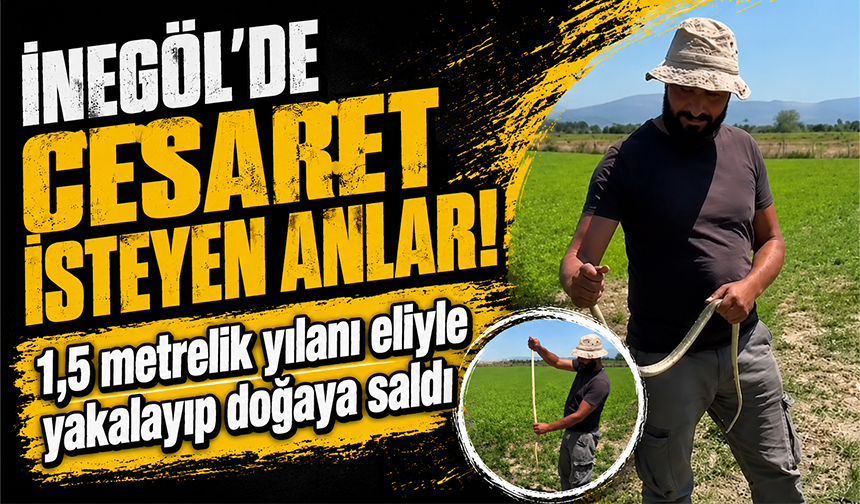 Bursa İnegöl’de cesaret isteyen anlar! 1,5 metrelik yılanı eliyle yakalayıp doğaya saldı