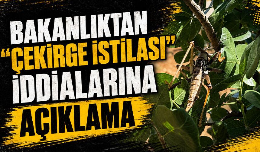 Tarım ve Orman Bakanlığı açıkladı "Çekirge istilası söz konusu değil"