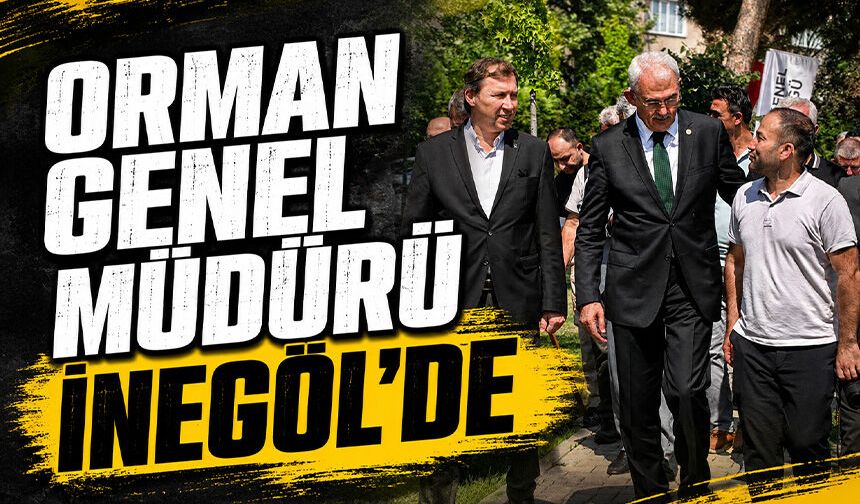 Orman Genel Müdürü İnegöl'de