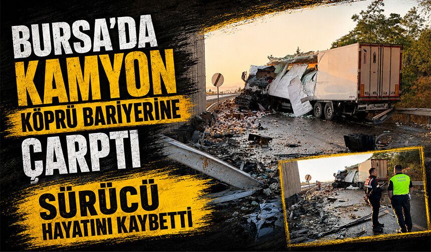 Bursa'da tavuk yüklü kamyon hurdaya döndü | Sürücü hayatını kaybetti