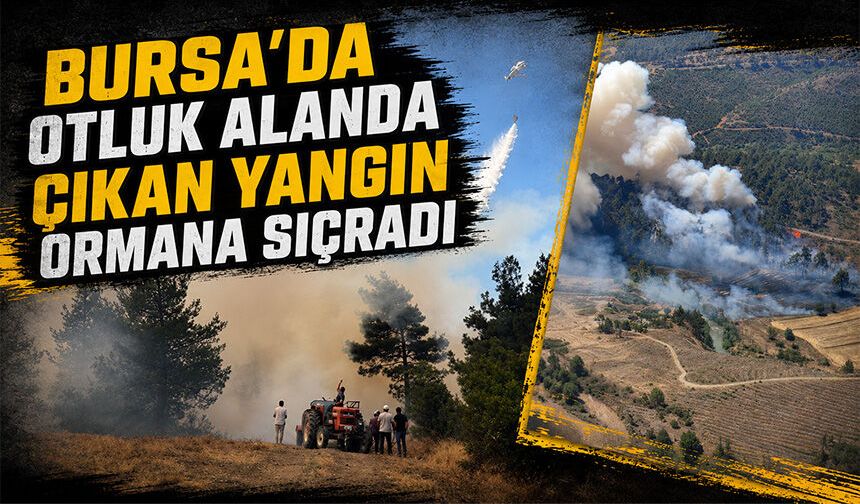 Bursa'da otluk alanda çıkan yangın ormana sıçradı
