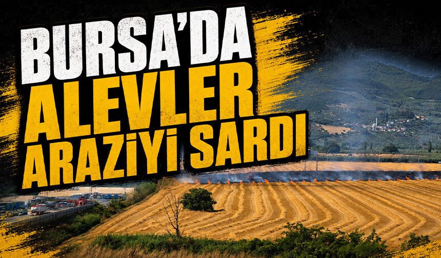 Bursa Gemlik Serbest Bölge yakınında yangın