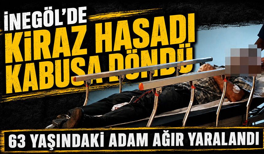 Bursa İnegöl'de Kiraz Hasadı Kabusa Döndü! 63 Yaşındaki Adam Ağır Yaralandı