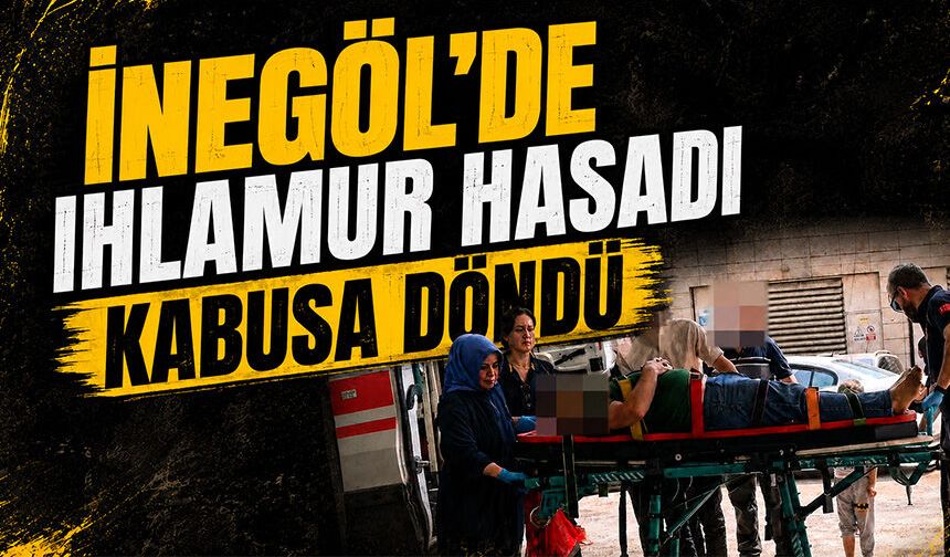 Bursa İnegöl'de ıhlamur hasadı kabusa döndü!