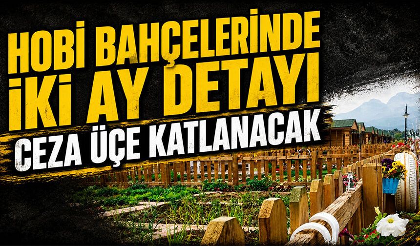 Hobi bahçelerinde iki ay detayı: Ceza üçe katlanacak