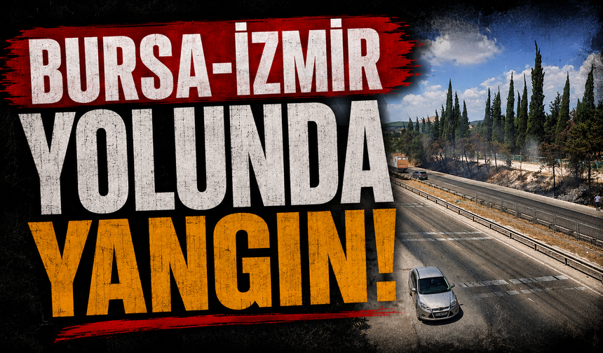 Bursa-İzmir yolunda yangın!