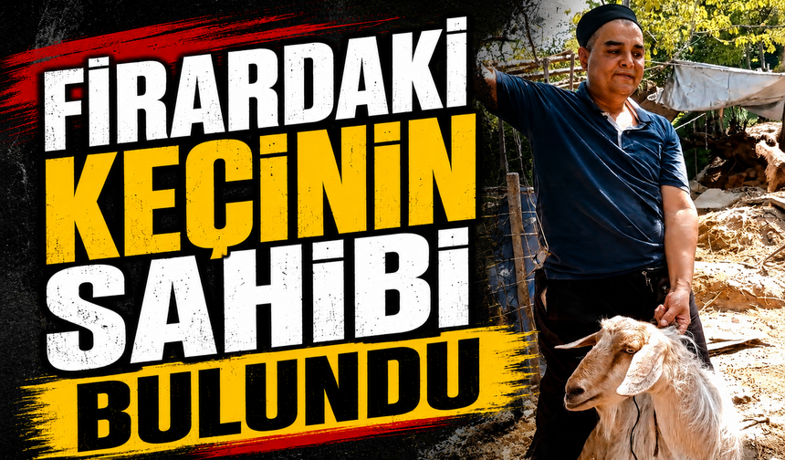 Bursa Yıldırım'da firardaki keçinin sahibi bulundu