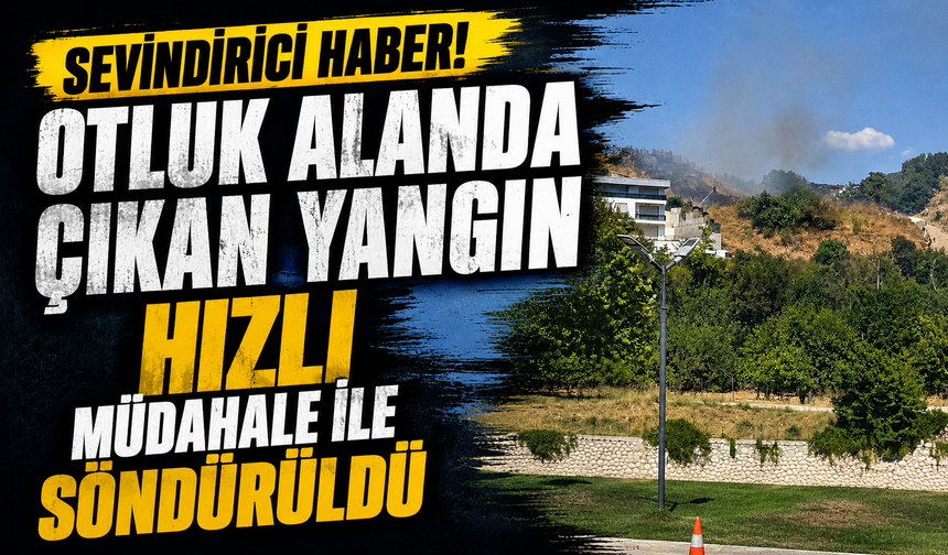 Bursa Nilüfer'de otluk alanda çıkan yangın hızlı müdahale ile söndürüldü