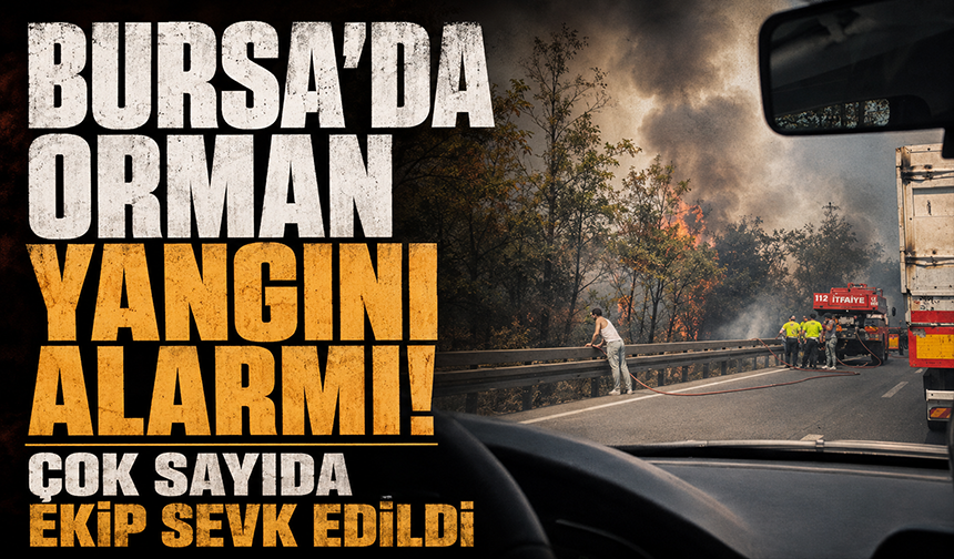 Bursa Kestel'de orman yangını alarmı! Çok sayıda ekip sevk edildi
