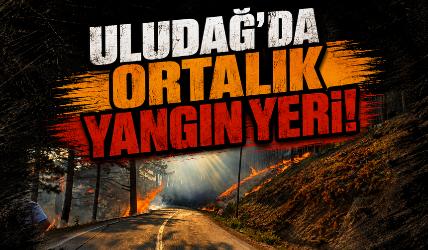 Uludağ'da ortalık yangın yeri!