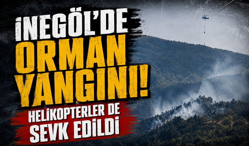 İnegöl’de orman yangını! Helikopterler de sevk edildi