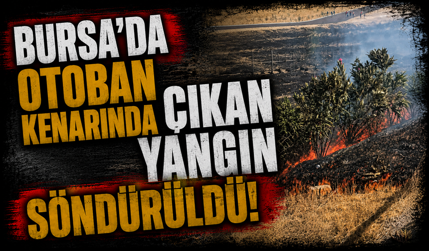 Bursa Karacabey'de otoban kenarında çıkan yangın söndürüldü!