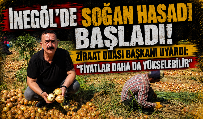 İnegöl'de soğan hasadı başladı! Ziraat Odası Başkanı uyardı: "Fiyatlar daha da yükselebilir"