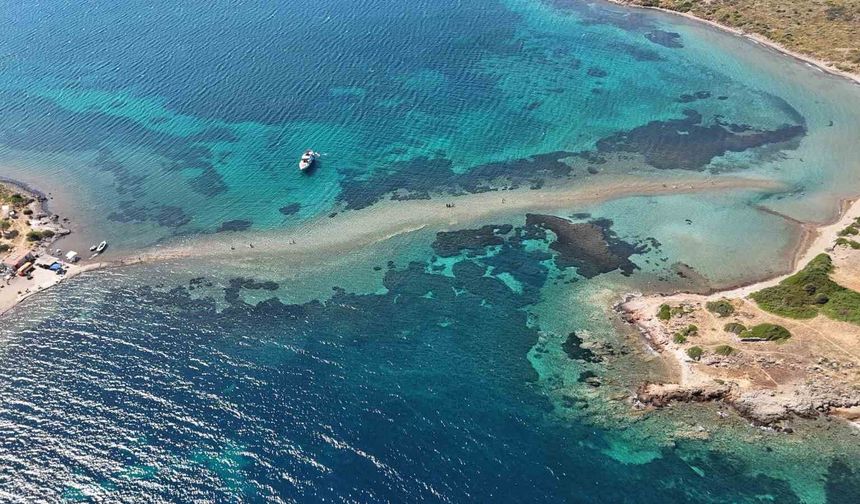 Adadan, adaya denizin içinden yürüyerek geçiyorlar