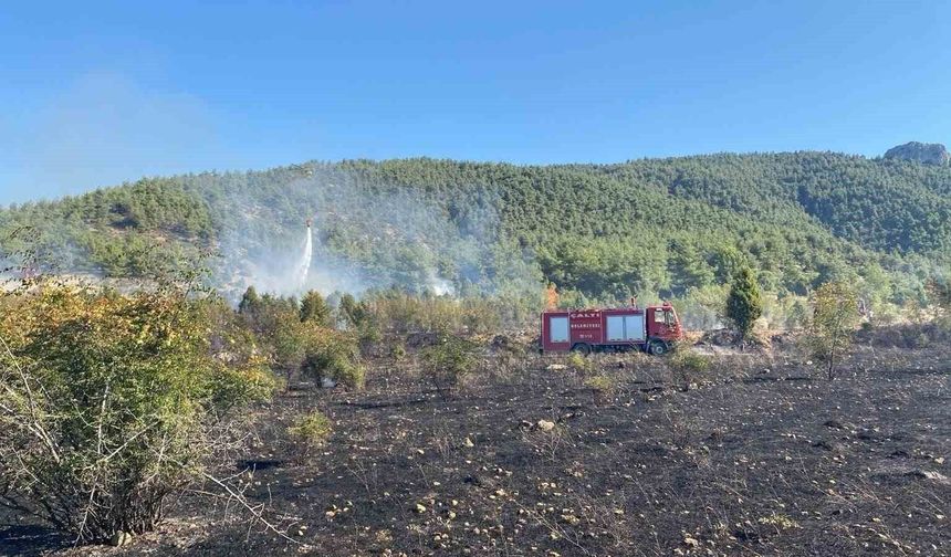 Bilecik'te çıkan tarla yangını ormana sıçramadan söndürüldü