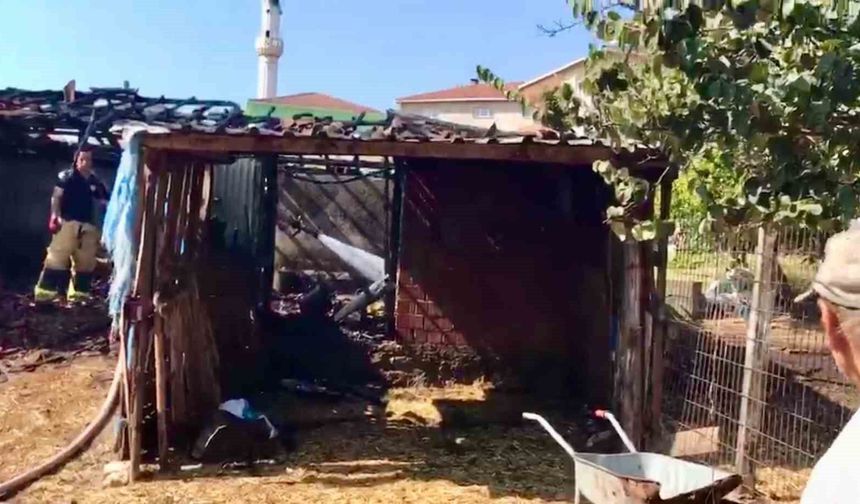 Çanakkale'de ahırda çıkan yangın söndürüldü
