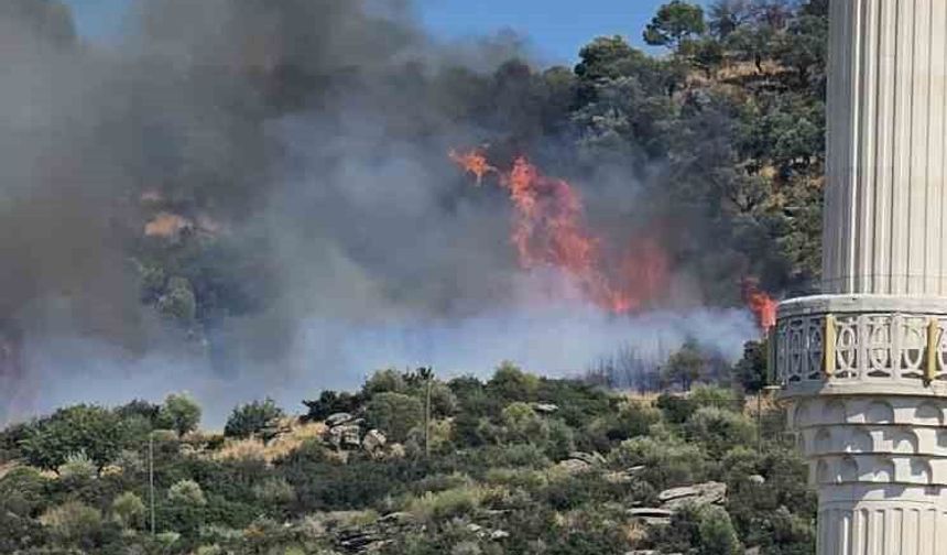 Gebze'de orman yangını başladı