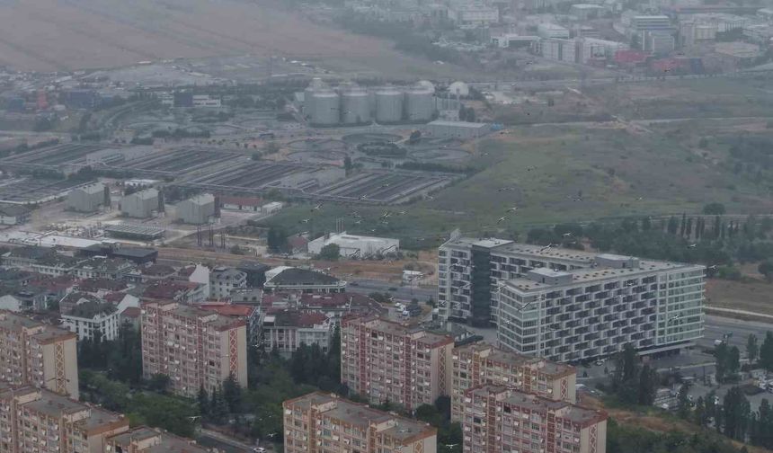 İstanbul'da yaz günü kış havası: Leylekler göç yolunda