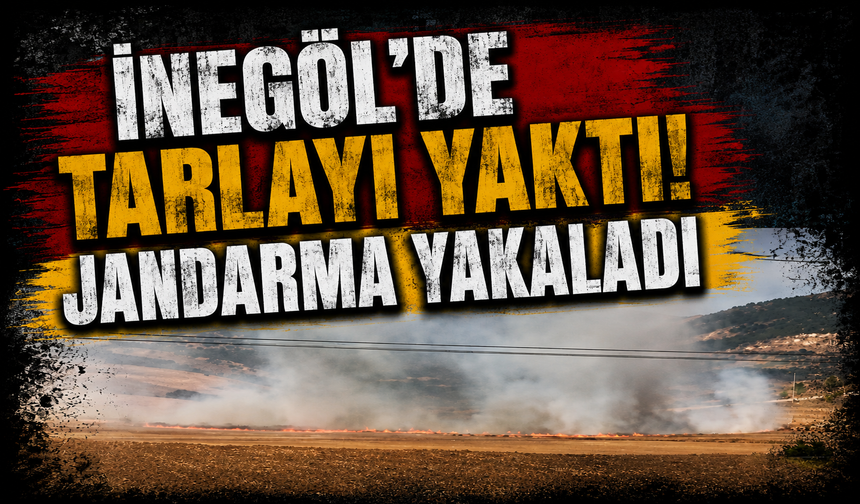 İnegöl'de tarlayı yaktı! Jandarma yakaladı