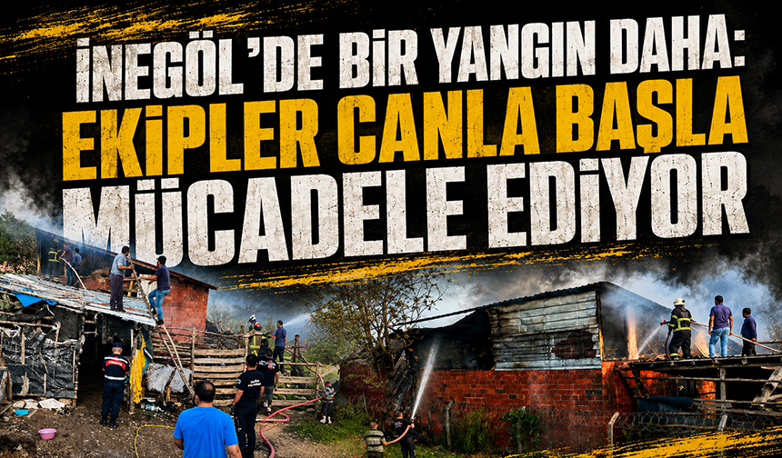 Bursa İnegöl'de bir yangın daha: Ekipler canla başla mücadele ediyor