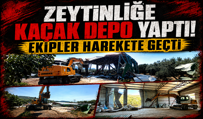 Bursa'da zeytinliğe yapılan kaçak depo böyle yıkıldı