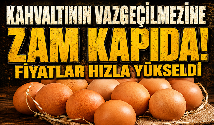 Yumurtaya zam kapıda!