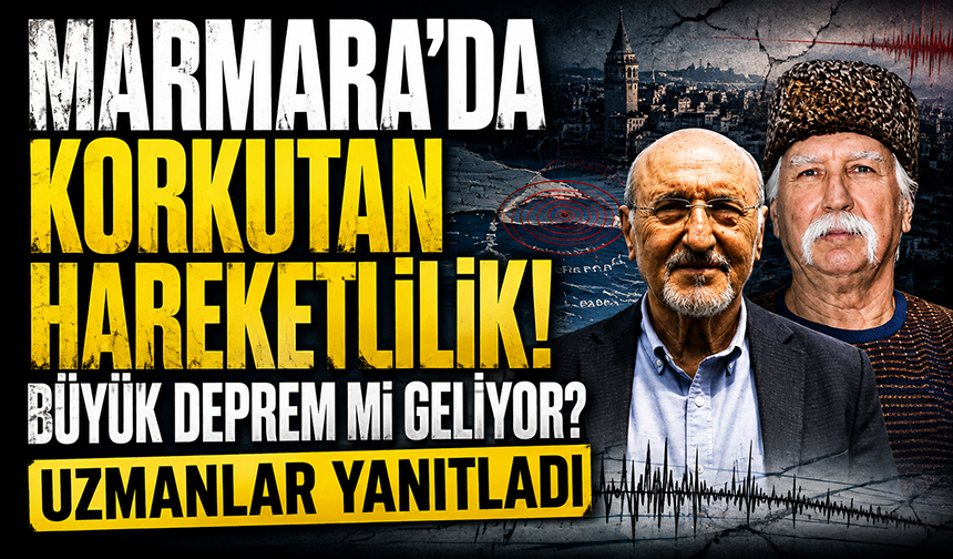 Marmara Denizi'nde deprem hareketliliği! İstanbul küçük küçük sallanıyor: Uzmanlardan açıklama geldi