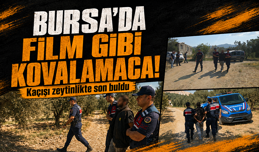 Bursa Orhangazi'de film gibi kovalamaca zeytinlikte bitti