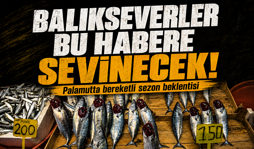 Hareketlilik balıkçıları umutlandırdı! Eylül ayında palamuta doyacağız