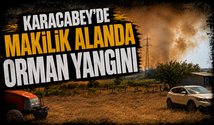 Karacabey’de makilik alanda orman yangını