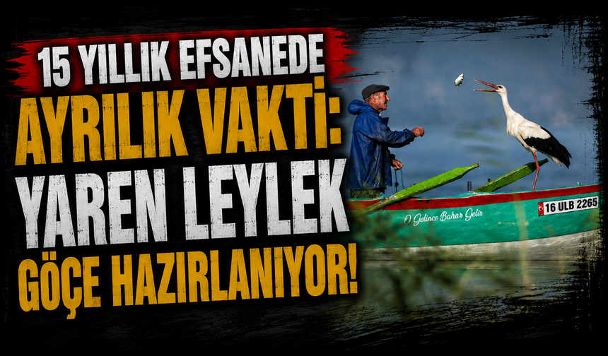 15 yıllık efsanede ayrılık vakti: Yaren leylek göçe hazırlanıyor!