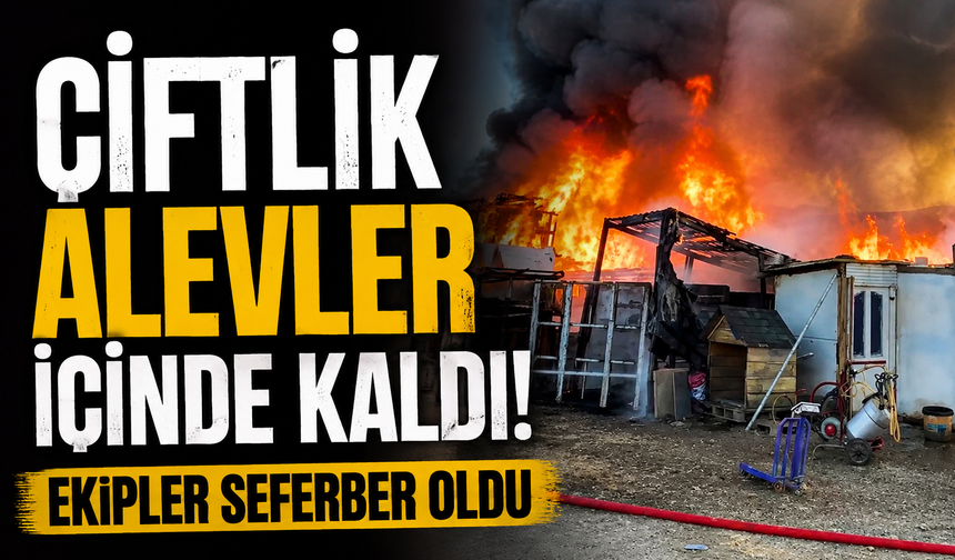Bursa Yıldırım'da çiftlik alev alev yandı!
