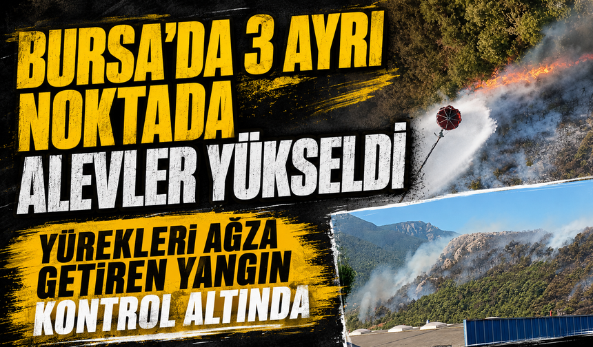 Bursa  Uludağ'ın eteklerinde 3 ayrı noktadaki orman yangını kontrol altına alındı