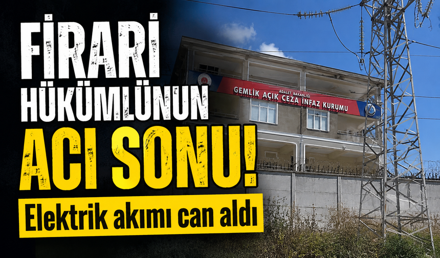 Bursa Gemlik'te elektrik akımına kapılan firari hükümlü yaşamını yitirdi
