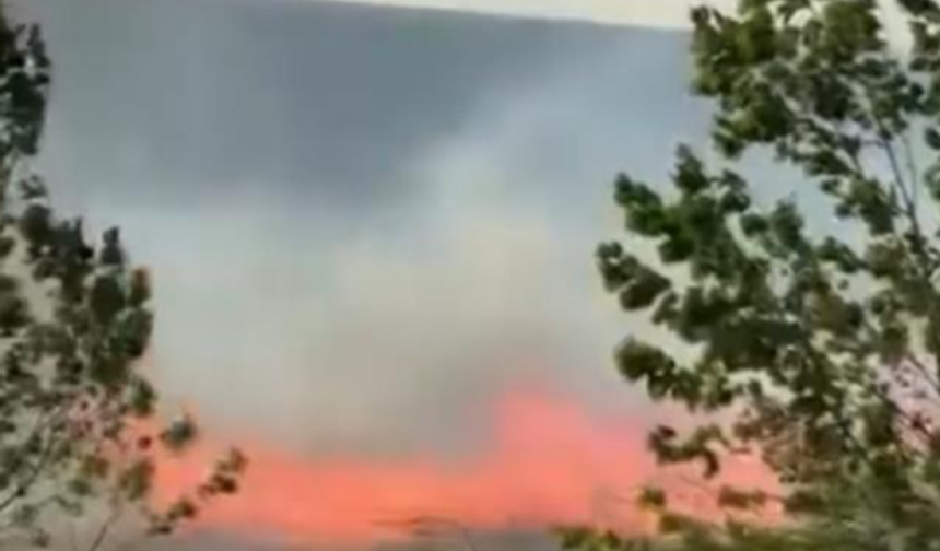 Bursa'da fabrikanın yanındaki arazide korkutan yangın