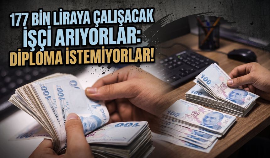 177 bin liraya çalışacak işçi arıyorlar: Diploma istemiyorlar!