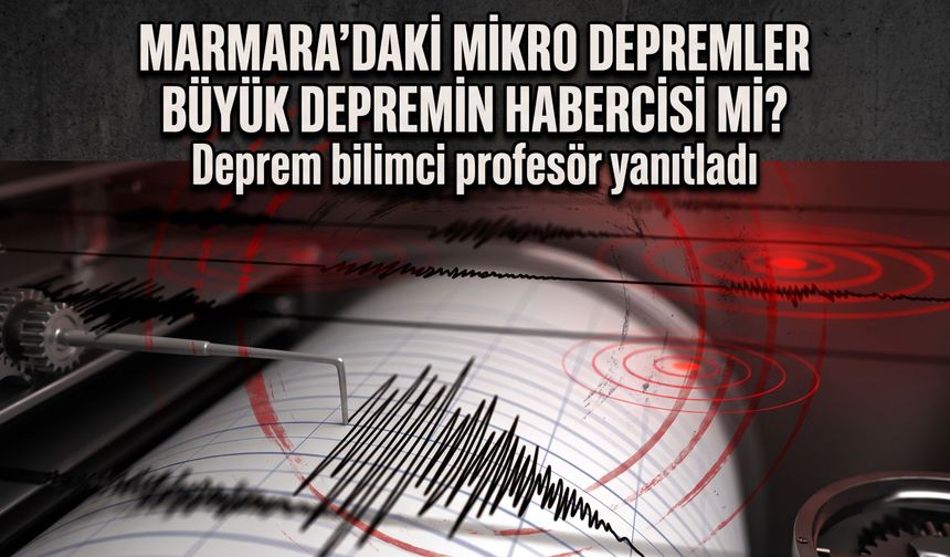 Marmara’daki mikro depremler büyük depremin habercisi mi? Deprem bilimci profesör yanıtladı