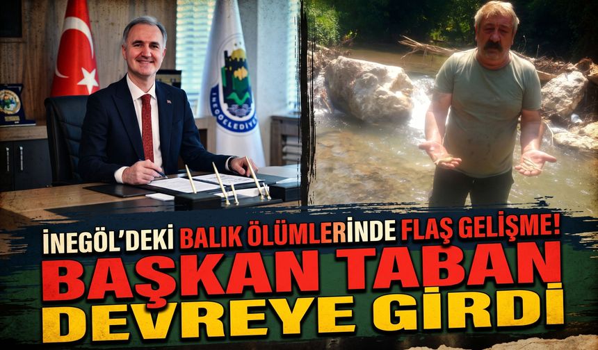 İnegöl'deki balık ölümlerinde flaş gelişme! Başkan Taban devreye girdi