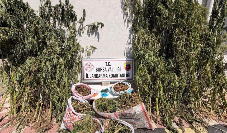 Bursa’da uyuştur*cu operasyonu: 22 kilo 675 gram esrar ele geçirildi