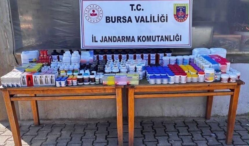 Piyasa değeri tam 1.5 milyon TL! Bursa'da jandarma kaçakçılara göz açtırmadı
