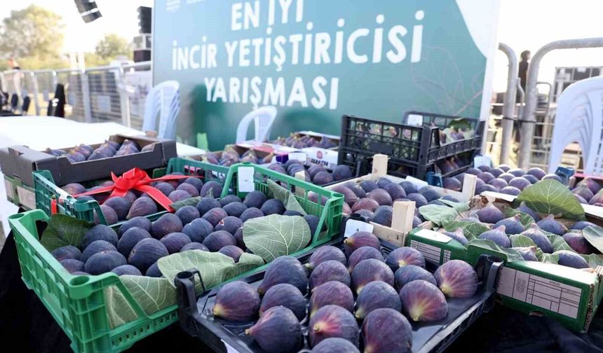 12. Akçalar Fadıllı İncir Festivali 13 Eylül'de Akçalar Göl Kıyısı'nda