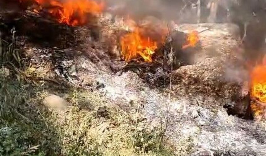 Bursa'da facia vatandaşlar tarafından önlendi: O anlar kamerada!