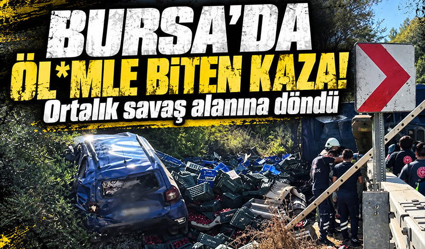 Bursa İznik'te virajı alamayan kamyon d*hşet saçtı: 1 *lü, 1 yaralı