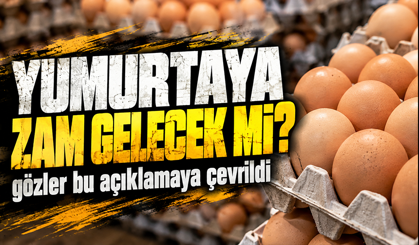 Yumurta fiyatlarına zam gelecek mi? Sektörden beklenen açıklama geldi