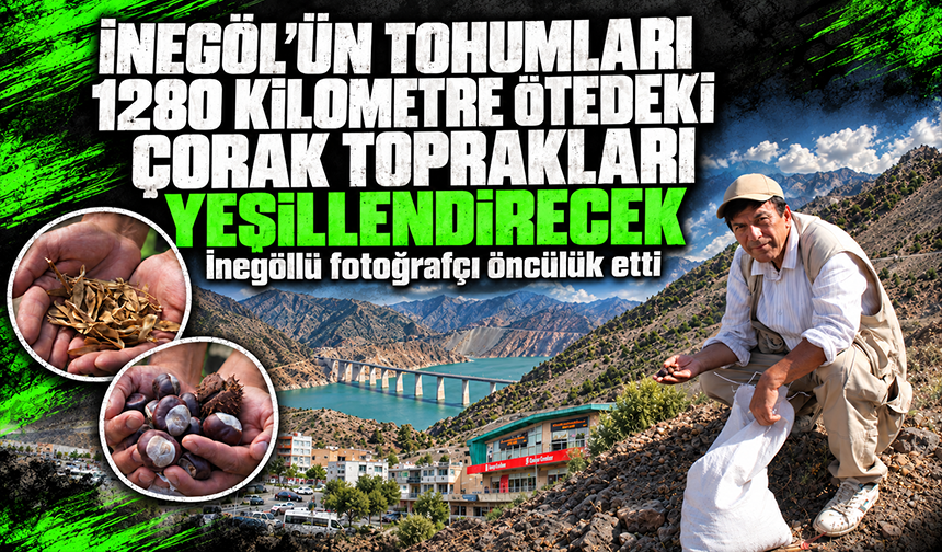 İnegöl'ün tohumları 1280 kilometre ötedeki çorak toprakları yeşillendirecek