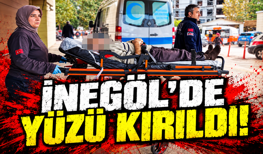 Bursa İnegöl'de elma toplarken ağaçtan düştü: Yüzünde kırıklar oluştu