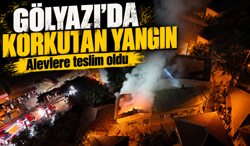 Bursa Gölyazı'da alevler yükseldi